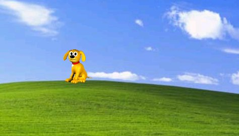 Rover on the Bliss hill